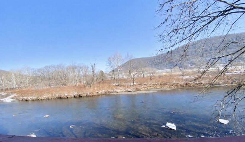 646 River Road Deposit, NY 13754 - Photo 15 of 19 Riverfrontage