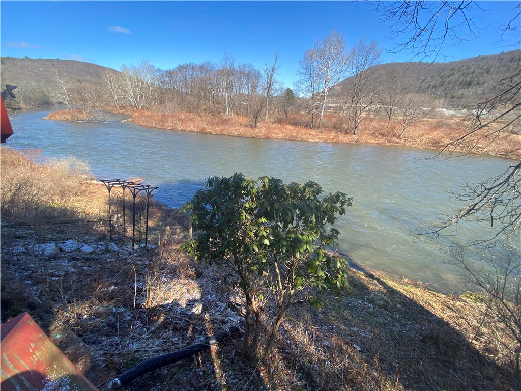 646 River Road Deposit, NY 13754 - Photo 17 of 19