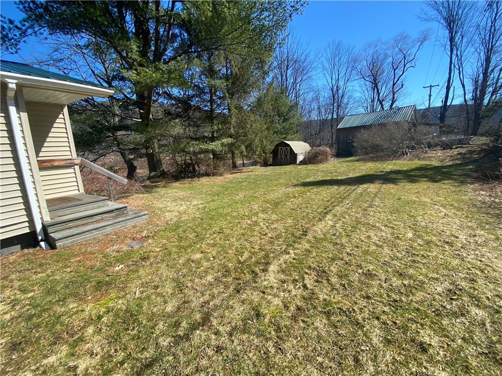 646 River Road Deposit, NY 13754 - Photo 3 of 19 yard and shed