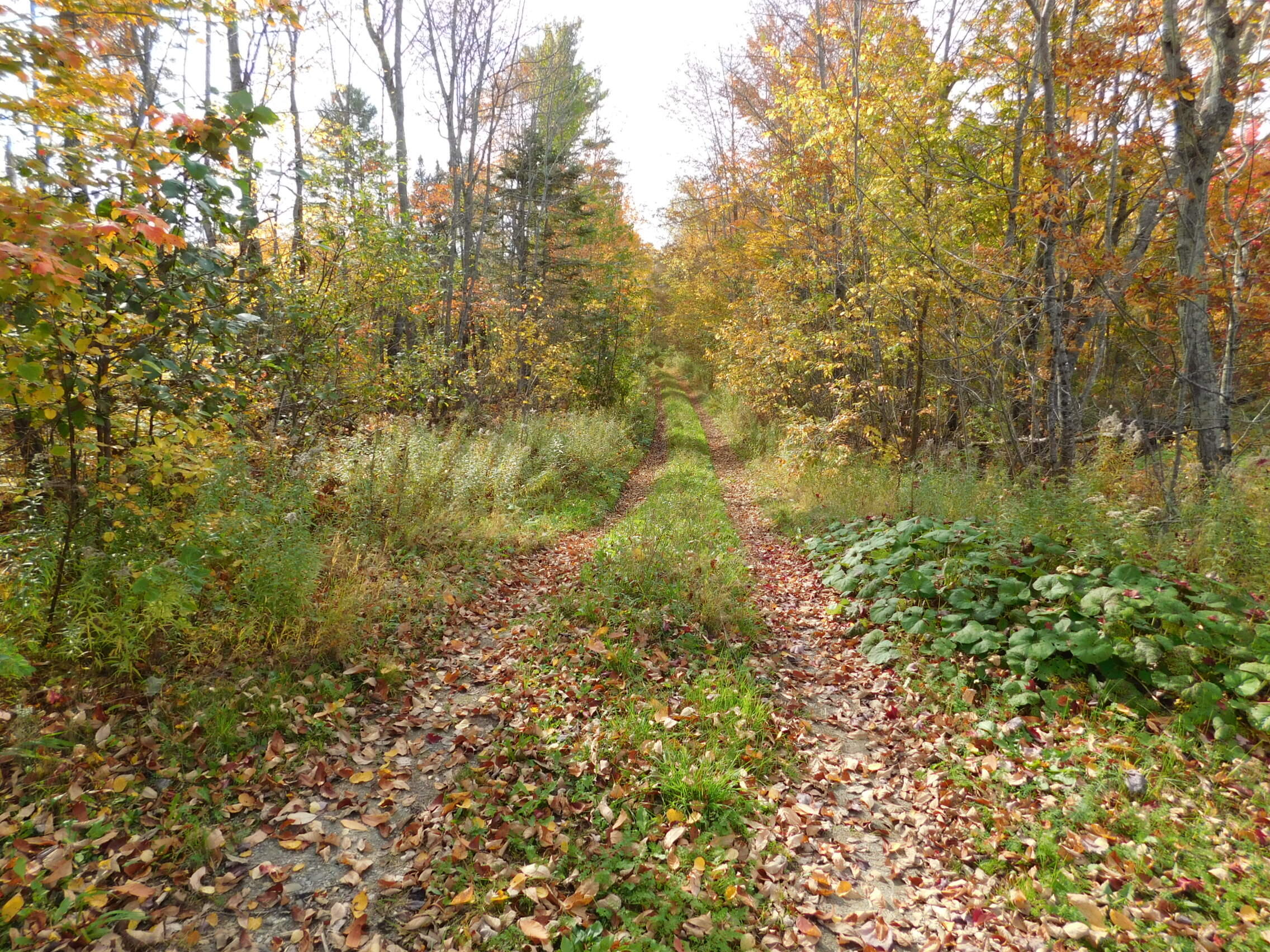 326 Stetson Road Stetson, ME 04488 - Photo 15 of 20 15