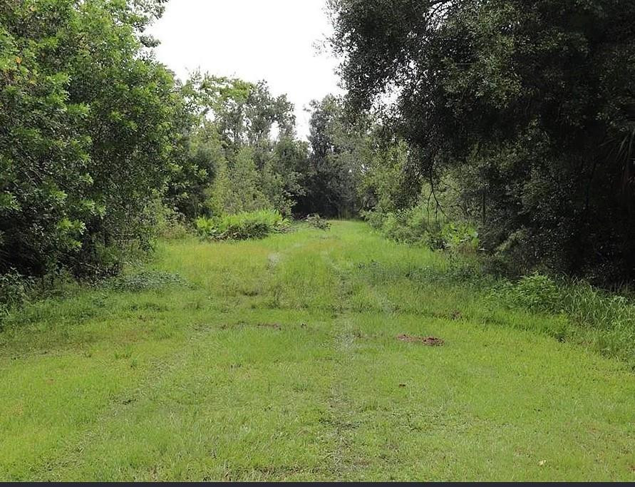 21331 Northwest 250th Street Okeechobee, FL 34972 - Photo 2 of 3 Photo 2