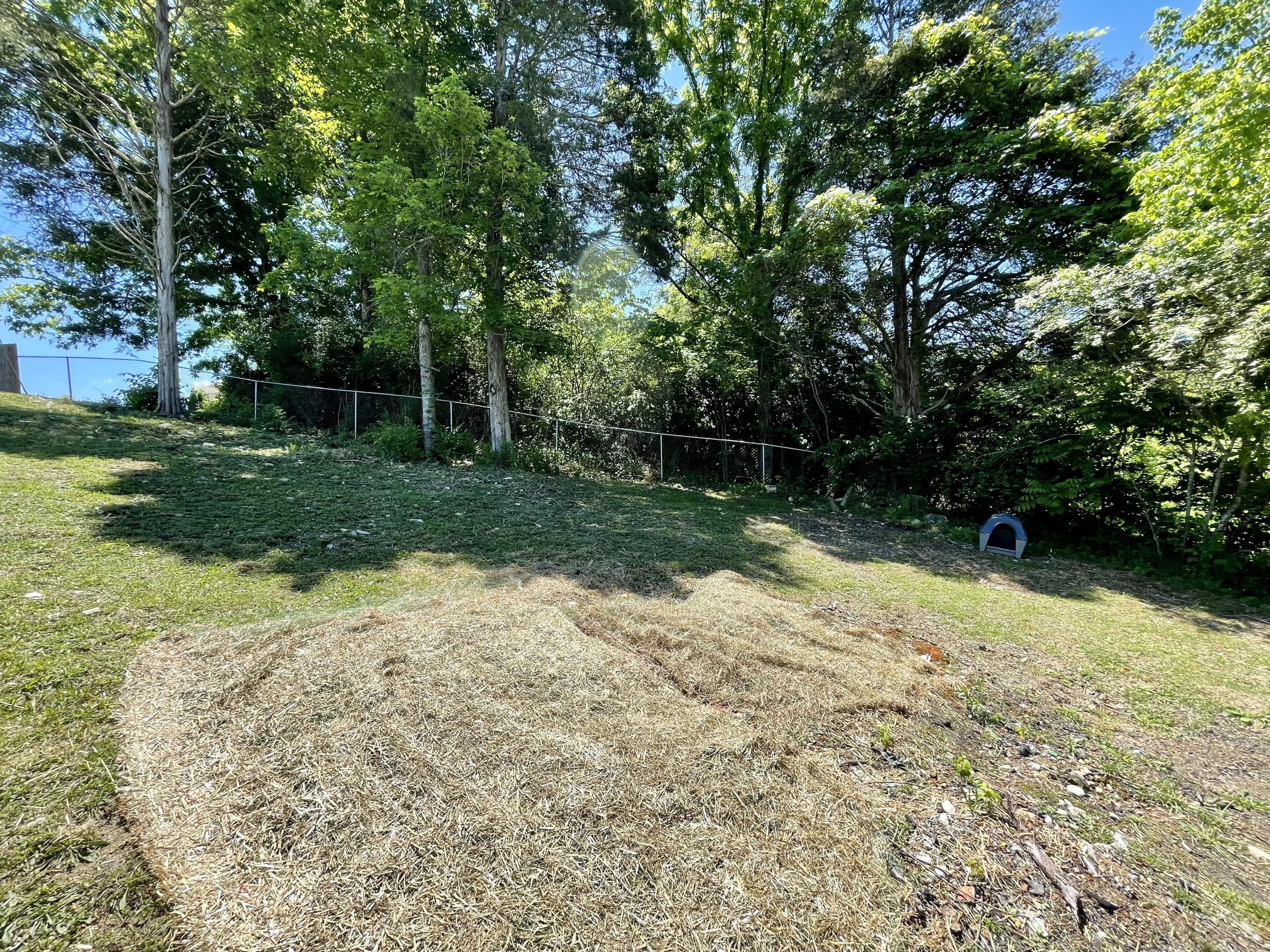 360 Murphy Mill Road Tazewell, TN 37879 - Photo 6 of 31 B9B1F891-E17C-4525-AA76-A345893CD1B8