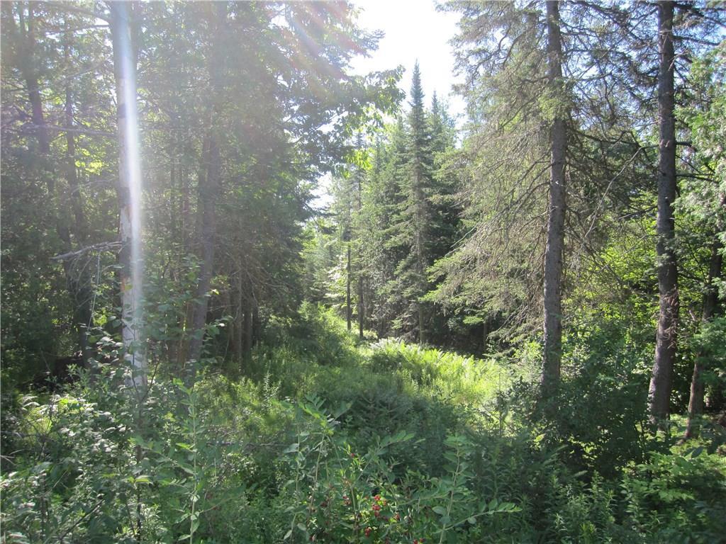 0 Johnson Mill Road Orrington, ME 04474 - Photo 1 of 6 Photo