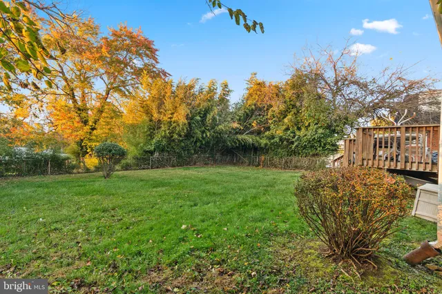 a view of yard with green space