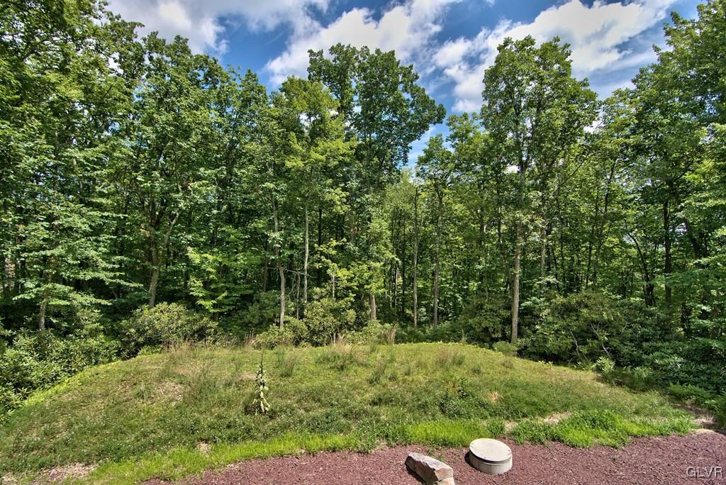 104 Rhododendron Road Jim Thorpe, PA 18229 - Photo 48 of 48 The property is private and surrounded by woods--t