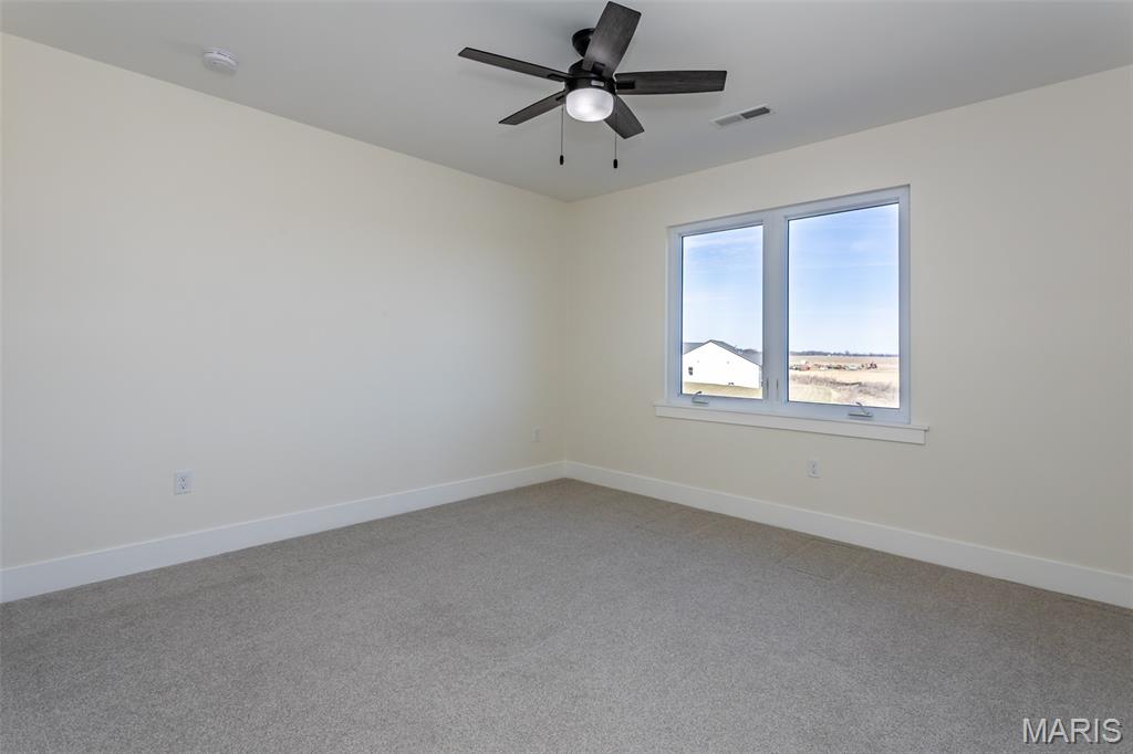 652 Tea Olive Boulevard O'Fallon, IL 62269 - Photo 51 of 73