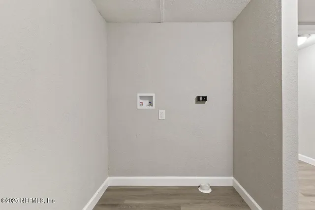 a view of a park with plants and large trees