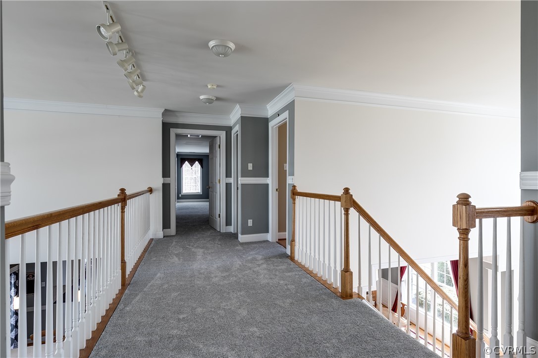 13512 Raftersridge Terrace Midlothian, VA 23113 - Photo 37 of 50 Gallery Image 37