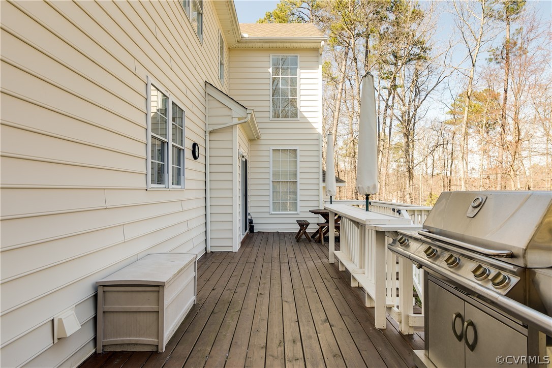 13512 Raftersridge Terrace Midlothian, VA 23113 - Photo 6 of 50 Gallery Image 6