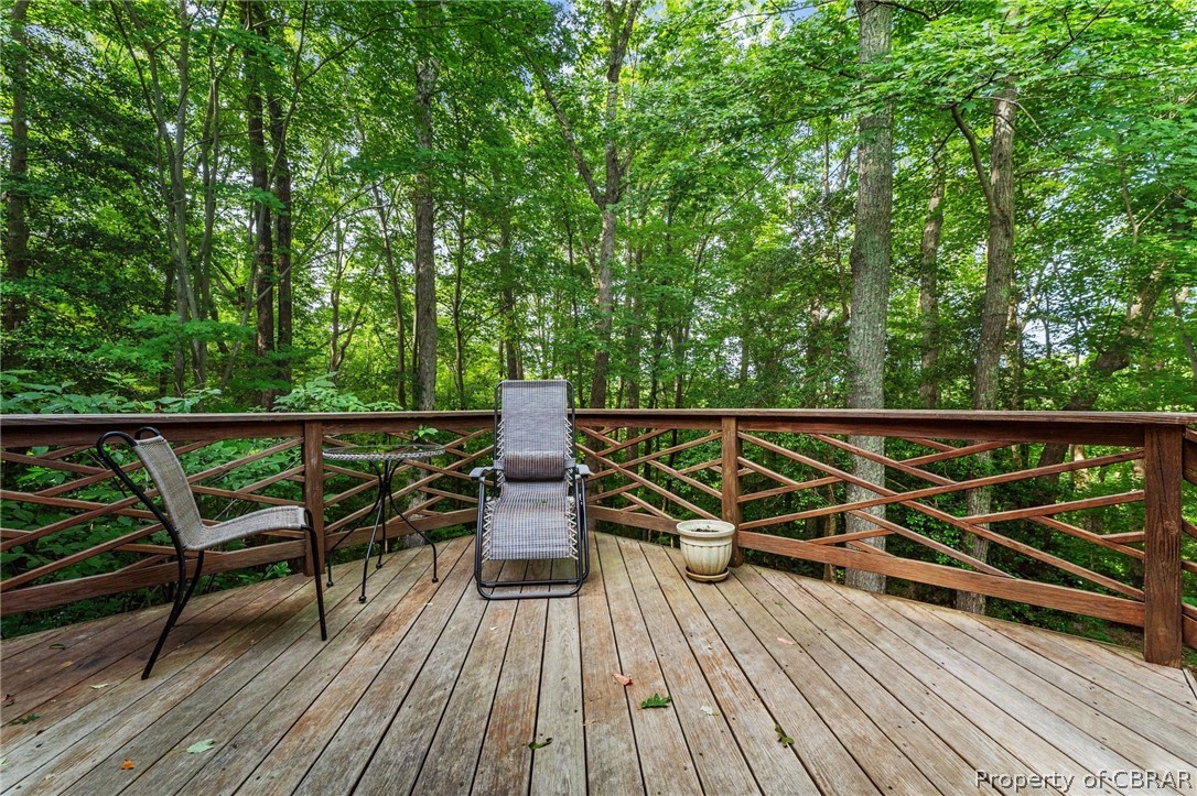 722 Kissinger Springs Road Callao, VA 22435 - Photo 31 of 38