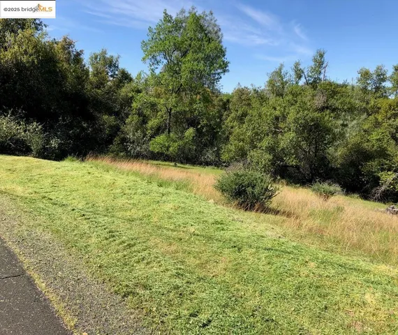 a view of a yard with a trees