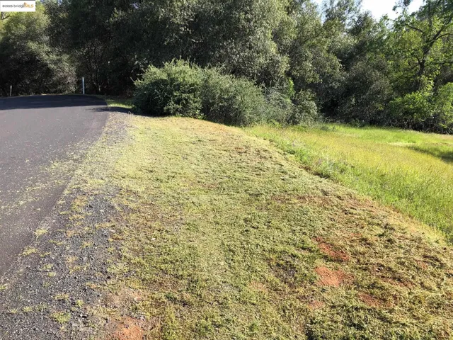 a view of a yard with trees