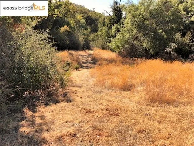 a vase of flowers sitting on a table