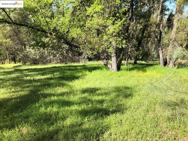a view of yard with green space