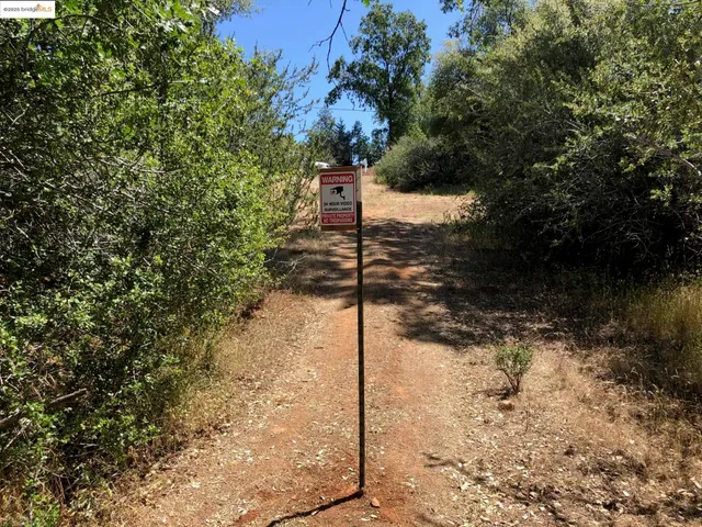 a view of yard with green space
