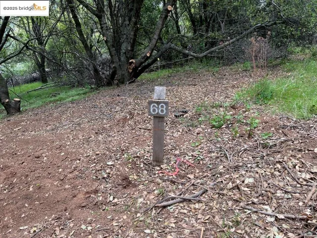 a small pool with a yard and a fountain