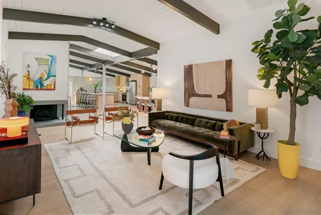 a living room with furniture a fireplace and a potted plant