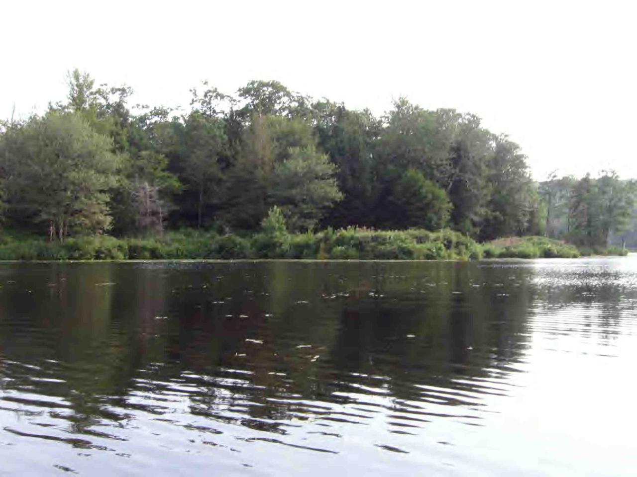 a view of a lake view