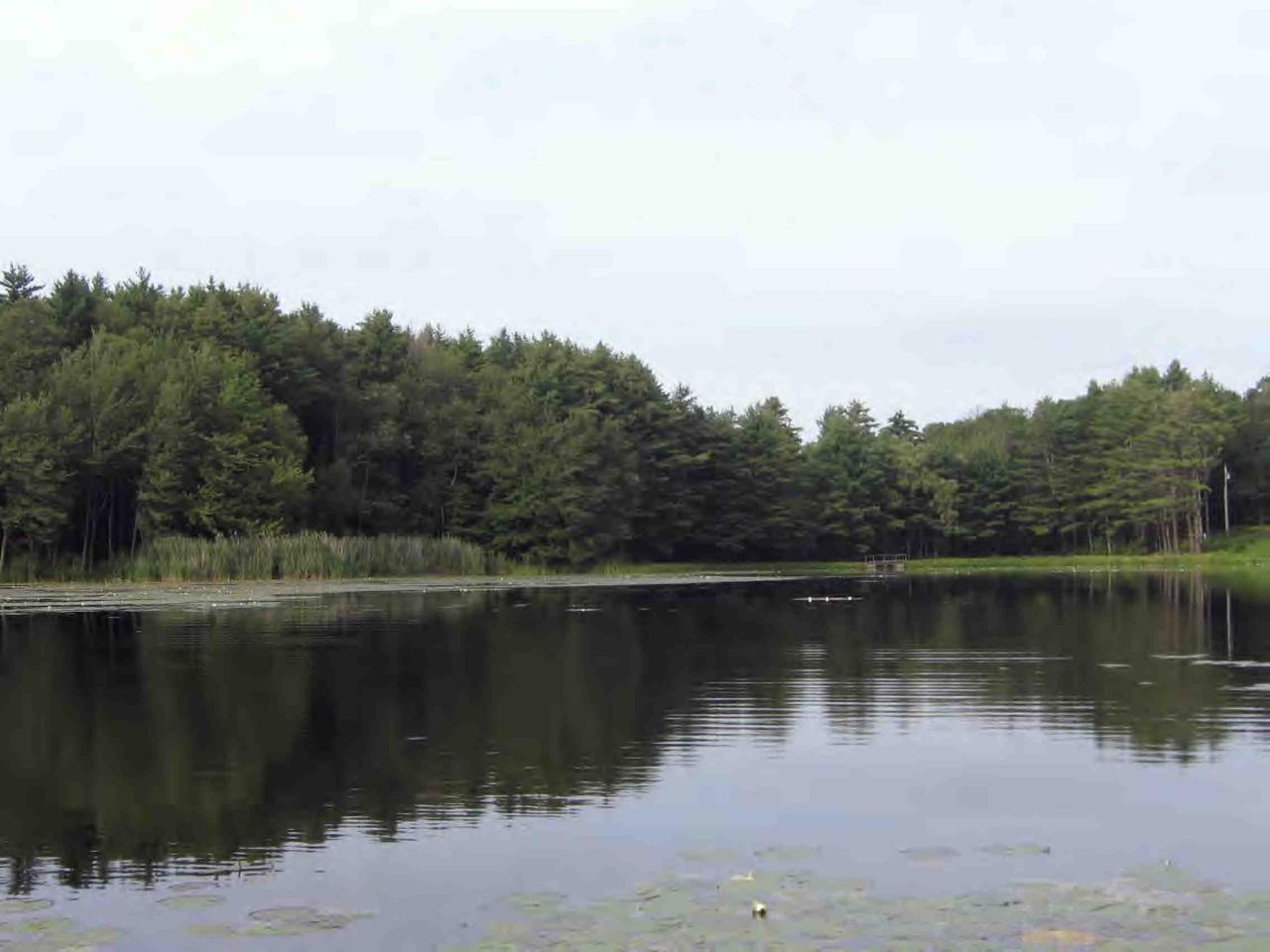 2 South Sandisfield Road Sandisfield, MA 01255 - Photo 3 of 6