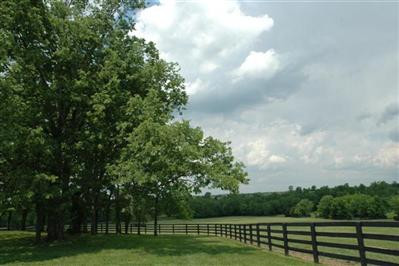0 Kidds Mill Road Versailles, KY 40383 - Photo 5 of 29 Photo 5