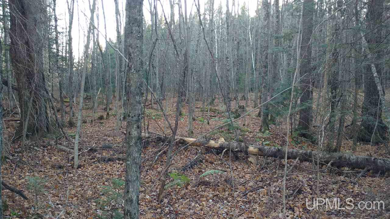 Tbd North Road Toivola, MI 49965 - Photo 11 of 13 Gallery Image 11