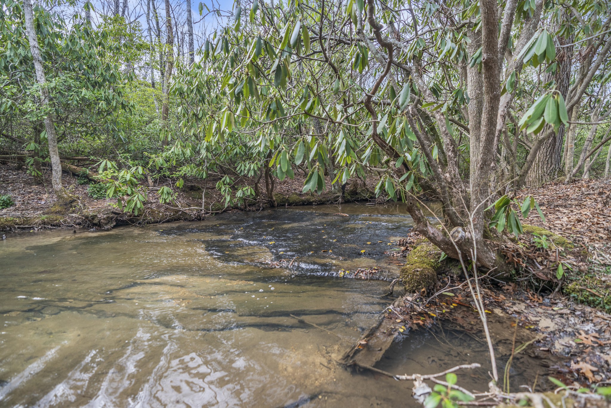 1512 East Overlook Road Monterey, TN 38574 - Photo 41 of 67 Gallery Image 41