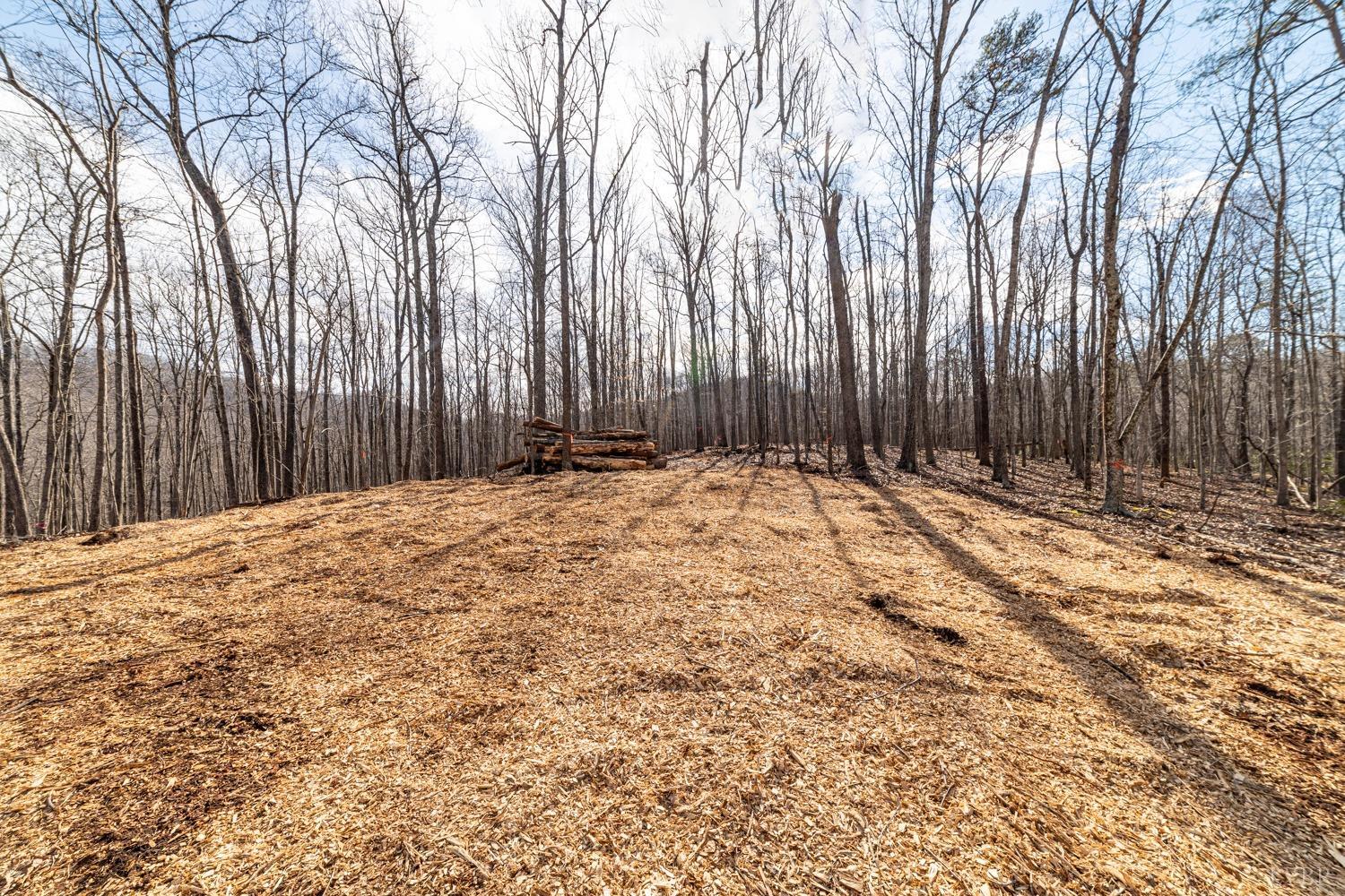 0 Venturous Trail Goode, VA 24556 - Photo 11 of 14 a view of wooden fence