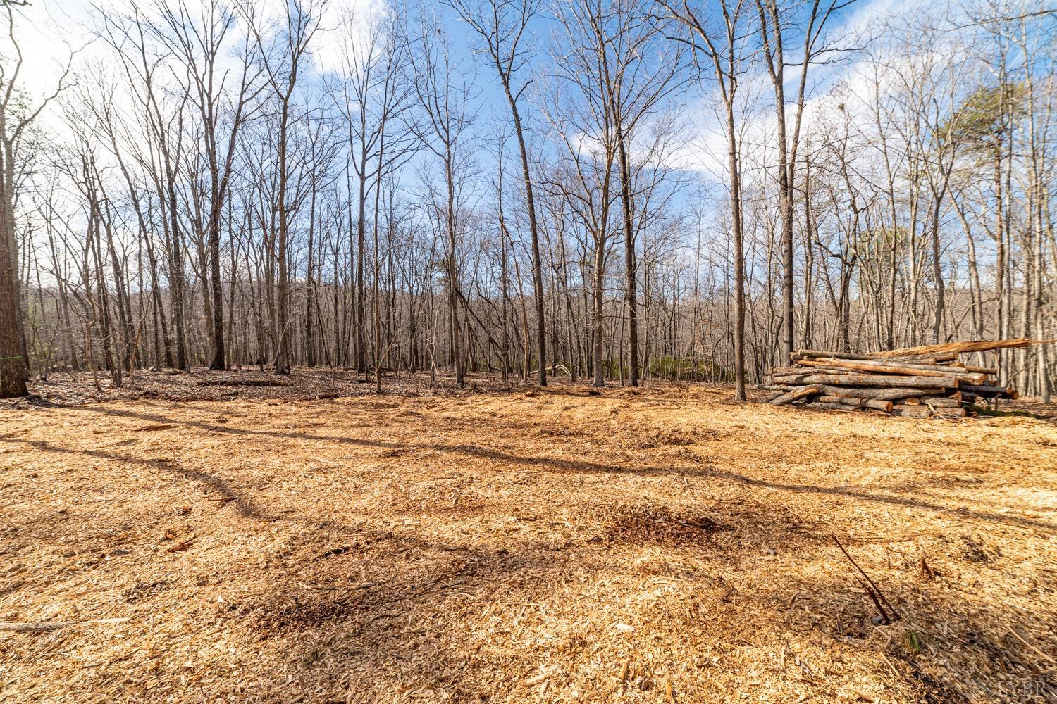 0 Venturous Trail Goode, VA 24556 - Photo 12 of 14 a view of wooden fence