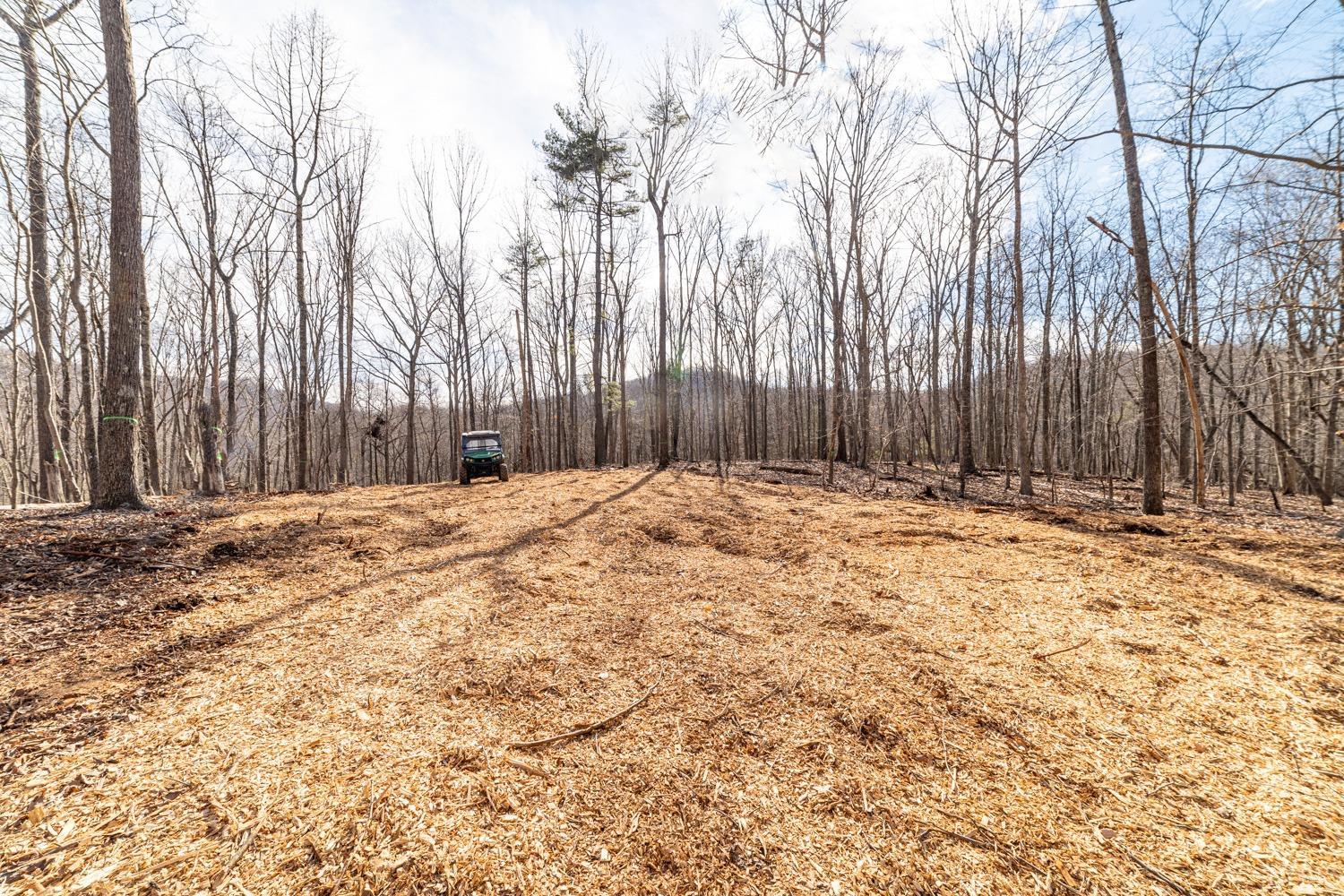 0 Venturous Trail Goode, VA 24556 - Photo 13 of 14 a view of wooden fence under a large tree