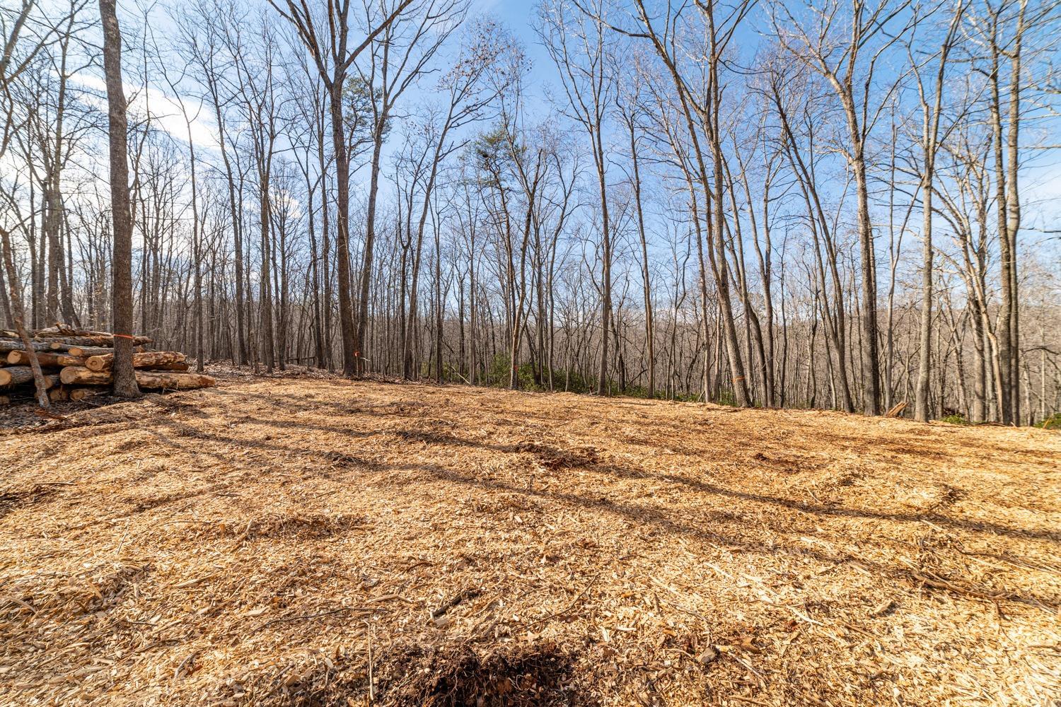 0 Venturous Trail Goode, VA 24556 - Photo 14 of 14 a view of wooden fence and trees