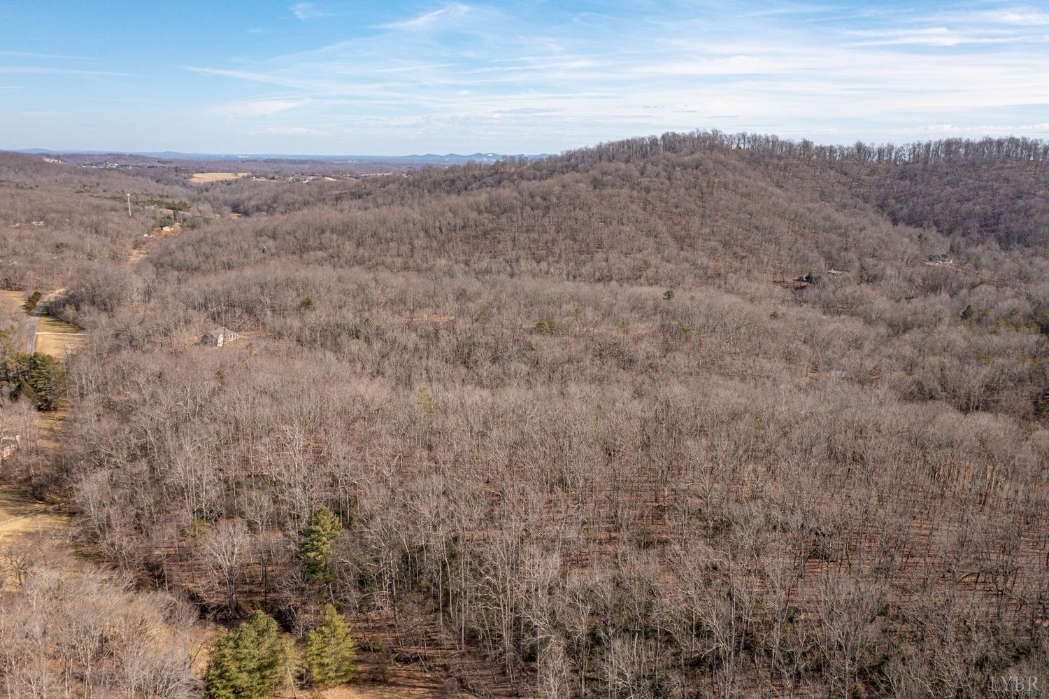 0 Venturous Trail Goode, VA 24556 - Photo 2 of 14 a view of a dry space with lots of bushes