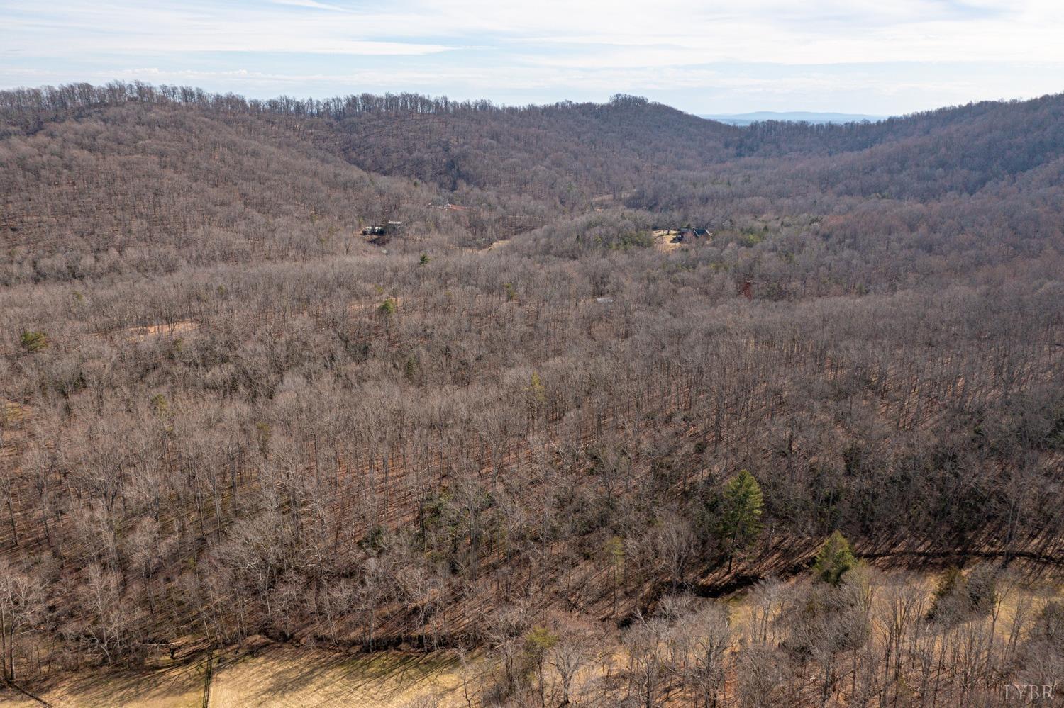 0 Venturous Trail Goode, VA 24556 - Photo 4 of 14 a view of a dry field