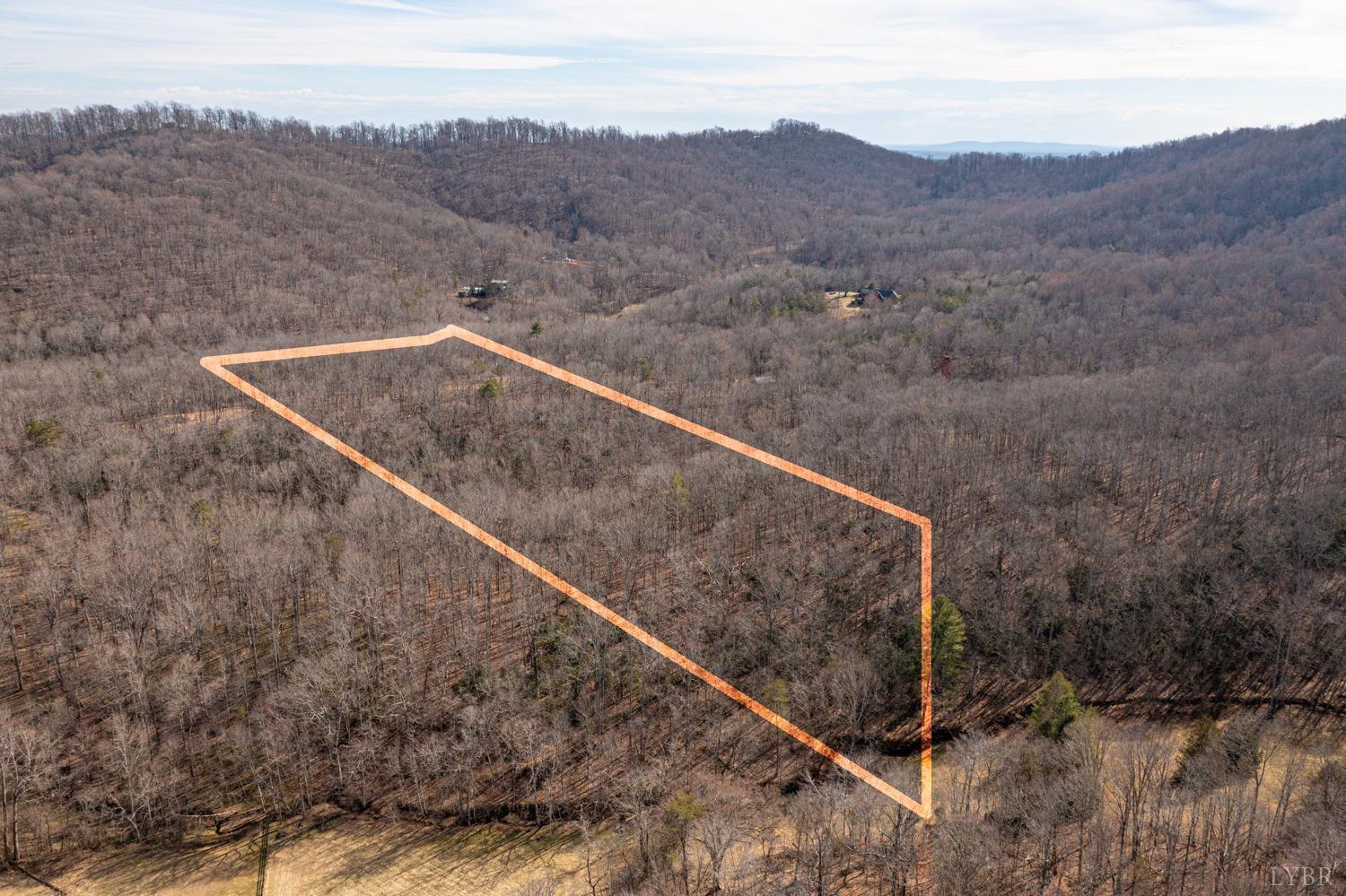 0 Venturous Trail Goode, VA 24556 - Photo 5 of 14 a view of a dry yard with mountains in the background