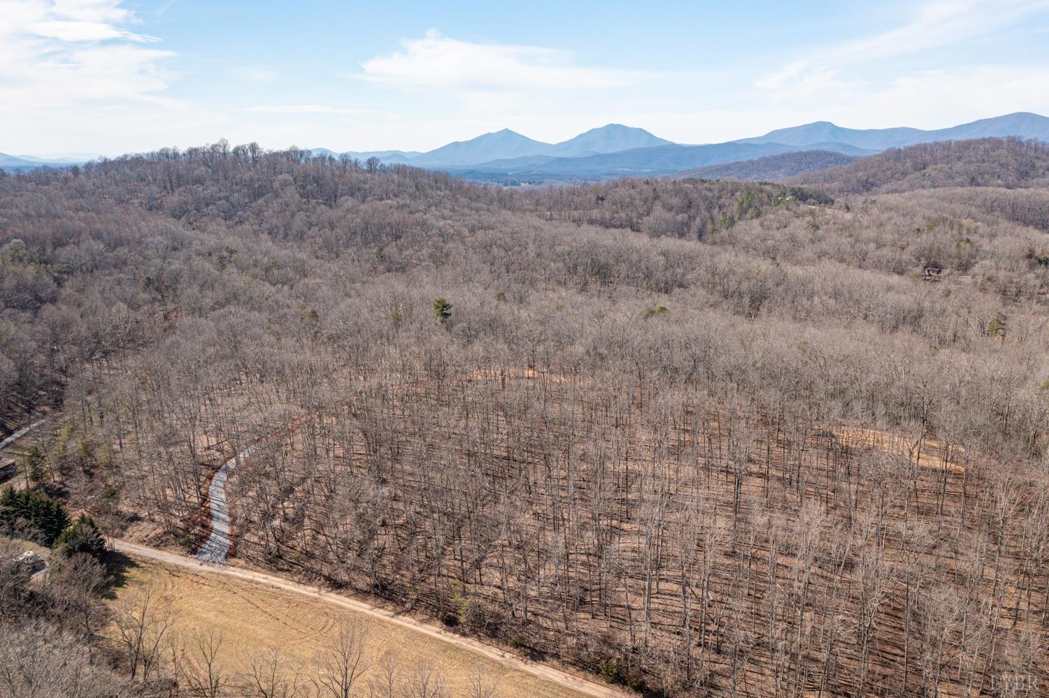 0 Venturous Trail Goode, VA 24556 - Photo 6 of 14 a view of a large mountain with a mountain in the background