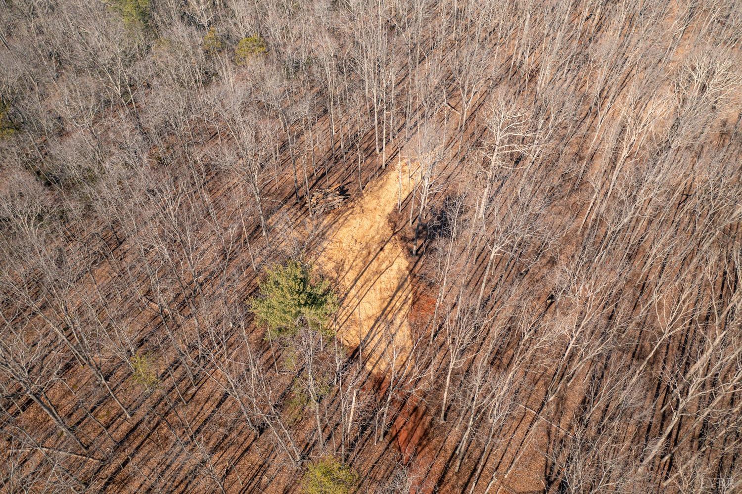 0 Venturous Trail Goode, VA 24556 - Photo 8 of 14