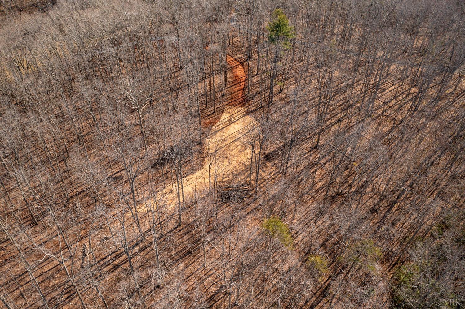 0 Venturous Trail Goode, VA 24556 - Photo 9 of 14