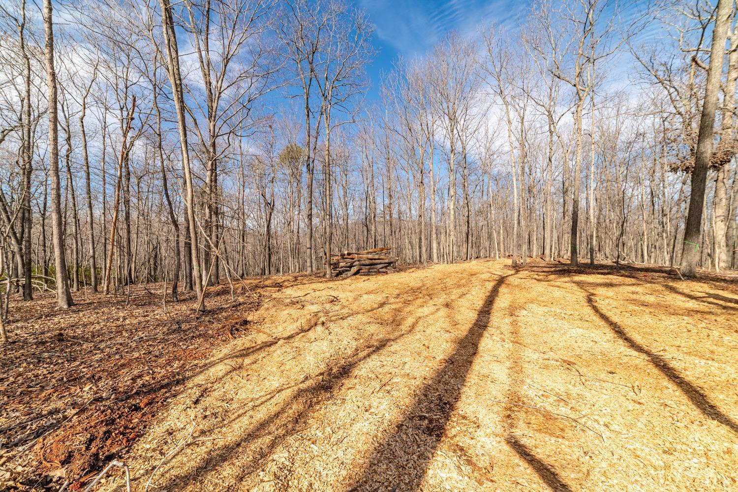 0 Venturous Trail Goode, VA 24556 - Photo 10 of 14 a view of swimming pool with wooden fence