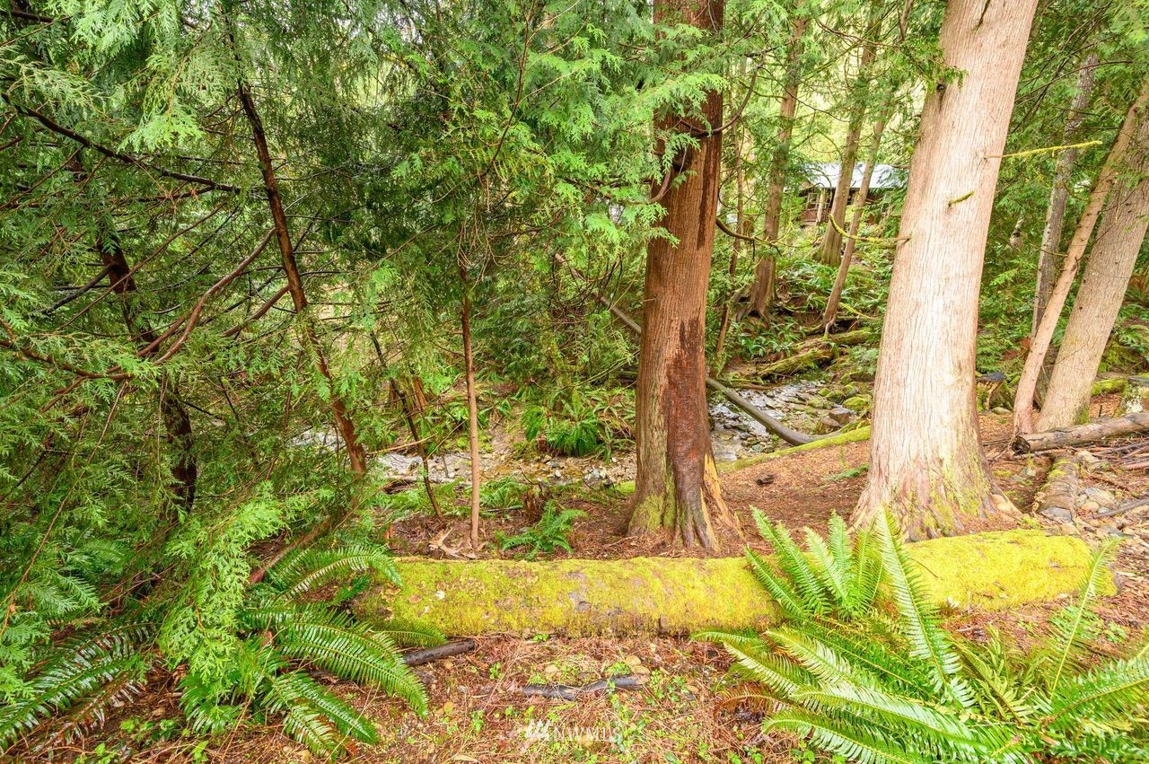 719 W Road Sedro-Woolley, WA 98284 - Photo 21 of 22 a view of a yard with an outdoor space