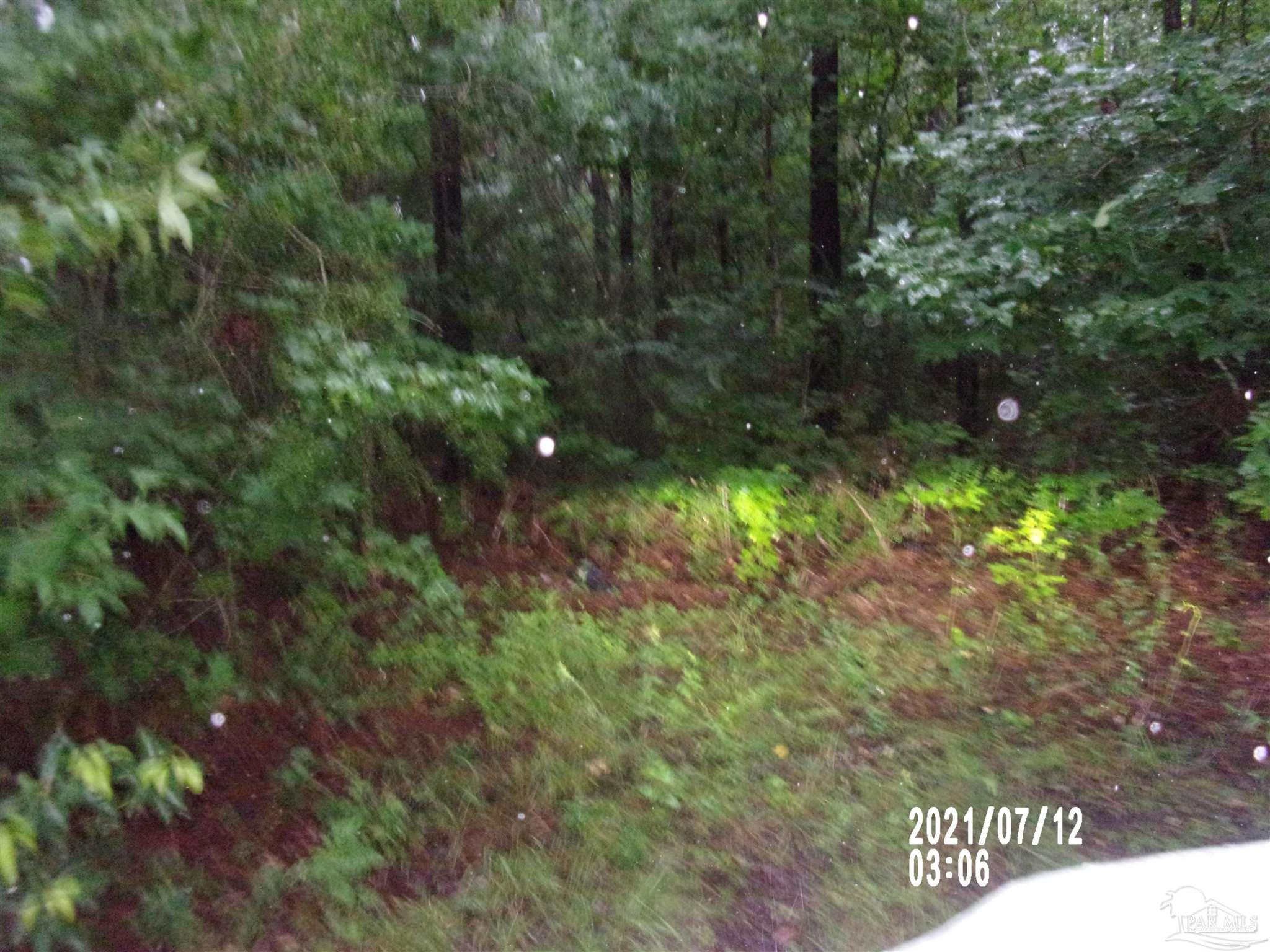 0 Baxley Road, Unit PARCEL E Milton, FL 32570 - Photo 4 of 6 Gallery Image 4
