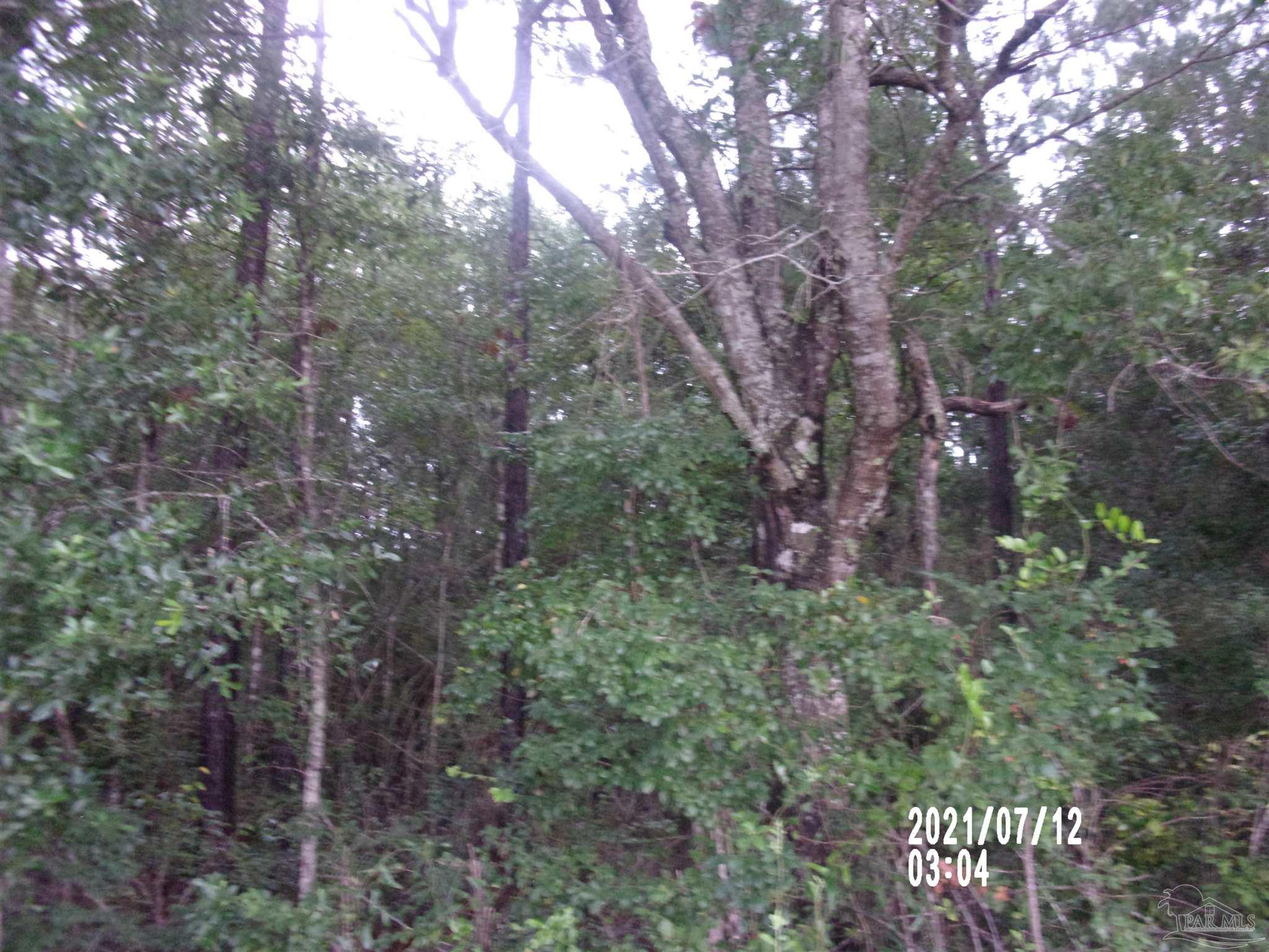 0 Baxley Road, Unit PARCEL E Milton, FL 32570 - Photo 5 of 6 Gallery Image 5