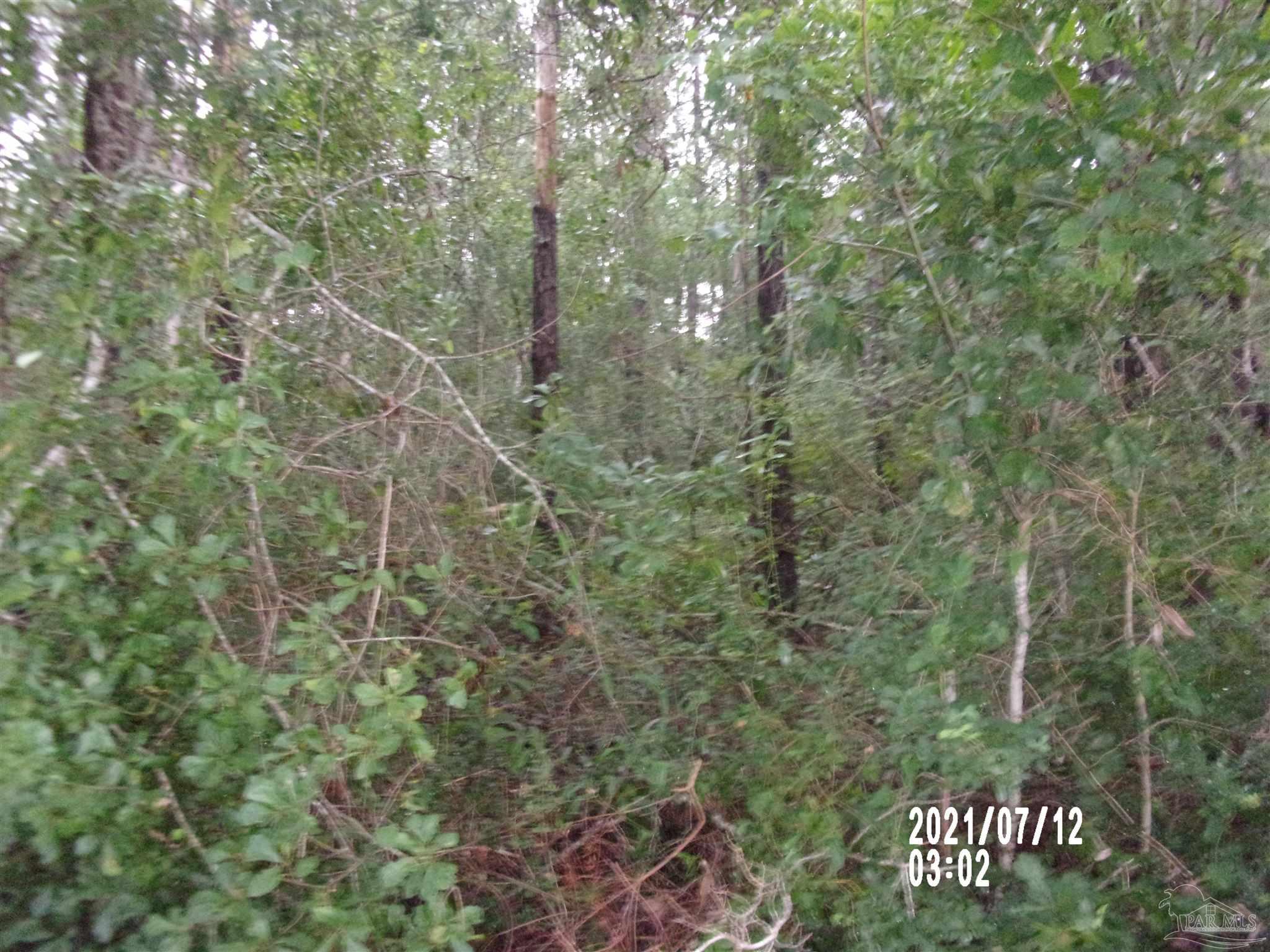 0 Baxley Road, Unit PARCEL E Milton, FL 32570 - Photo 6 of 6 Gallery Image 6
