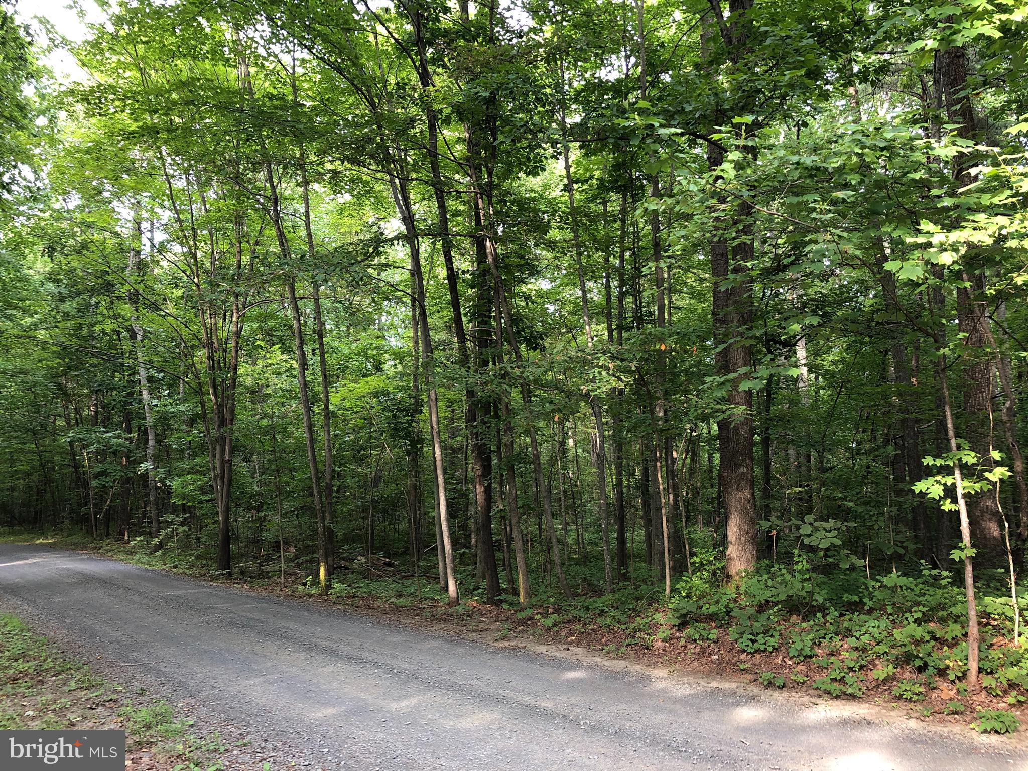 6041 Varzara Road Marshall, VA 20115 - Photo 1 of 13 Gallery Image 1