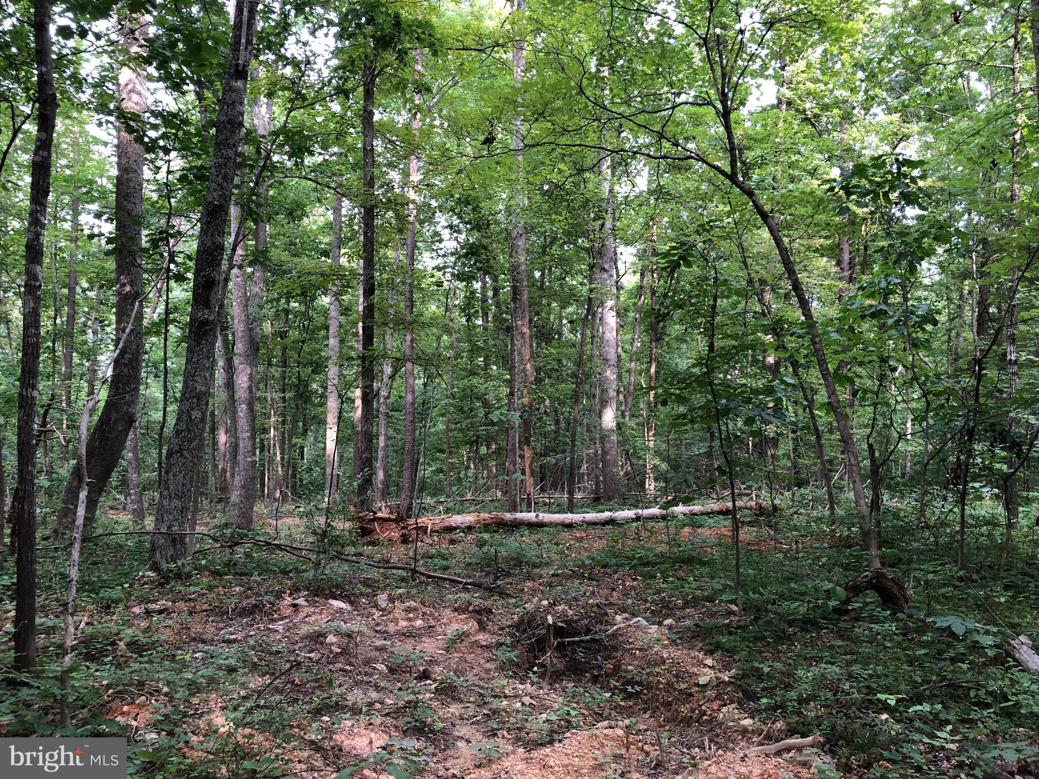 6041 Varzara Road Marshall, VA 20115 - Photo 4 of 13 Gallery Image 4