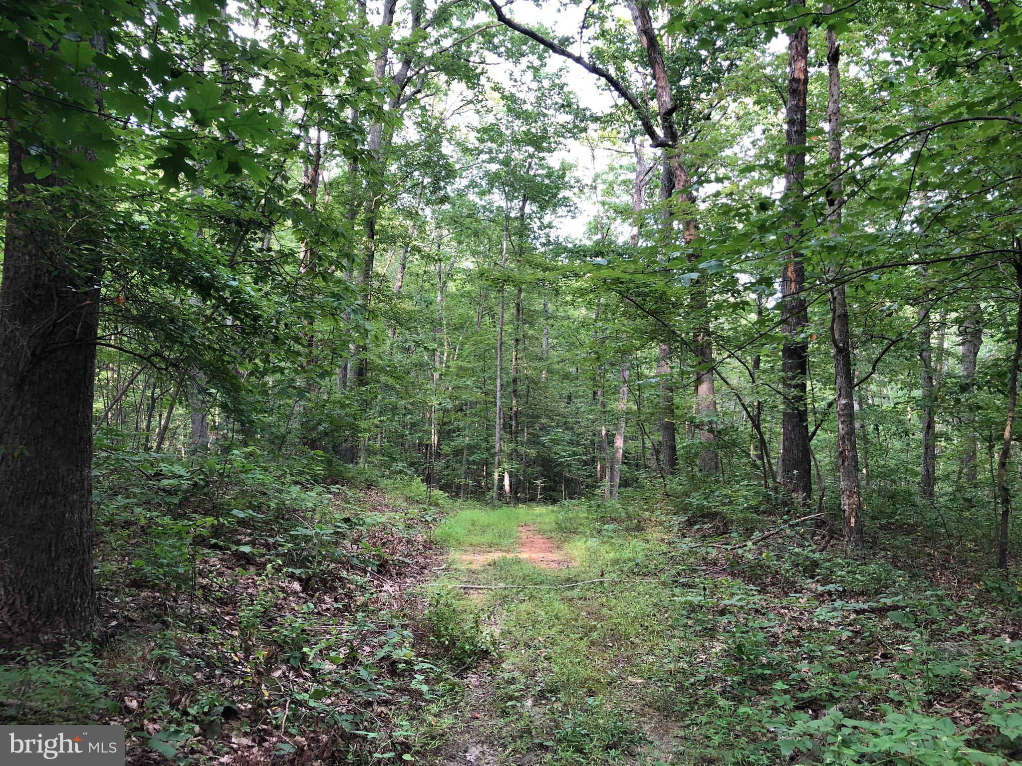 6041 Varzara Road Marshall, VA 20115 - Photo 5 of 13 Gallery Image 5