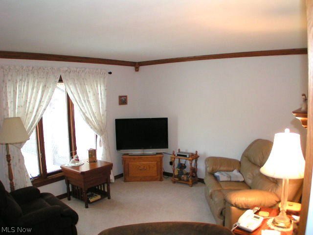 4571 Sharon Copley Road Medina, OH 44256 - Photo 9 of 21