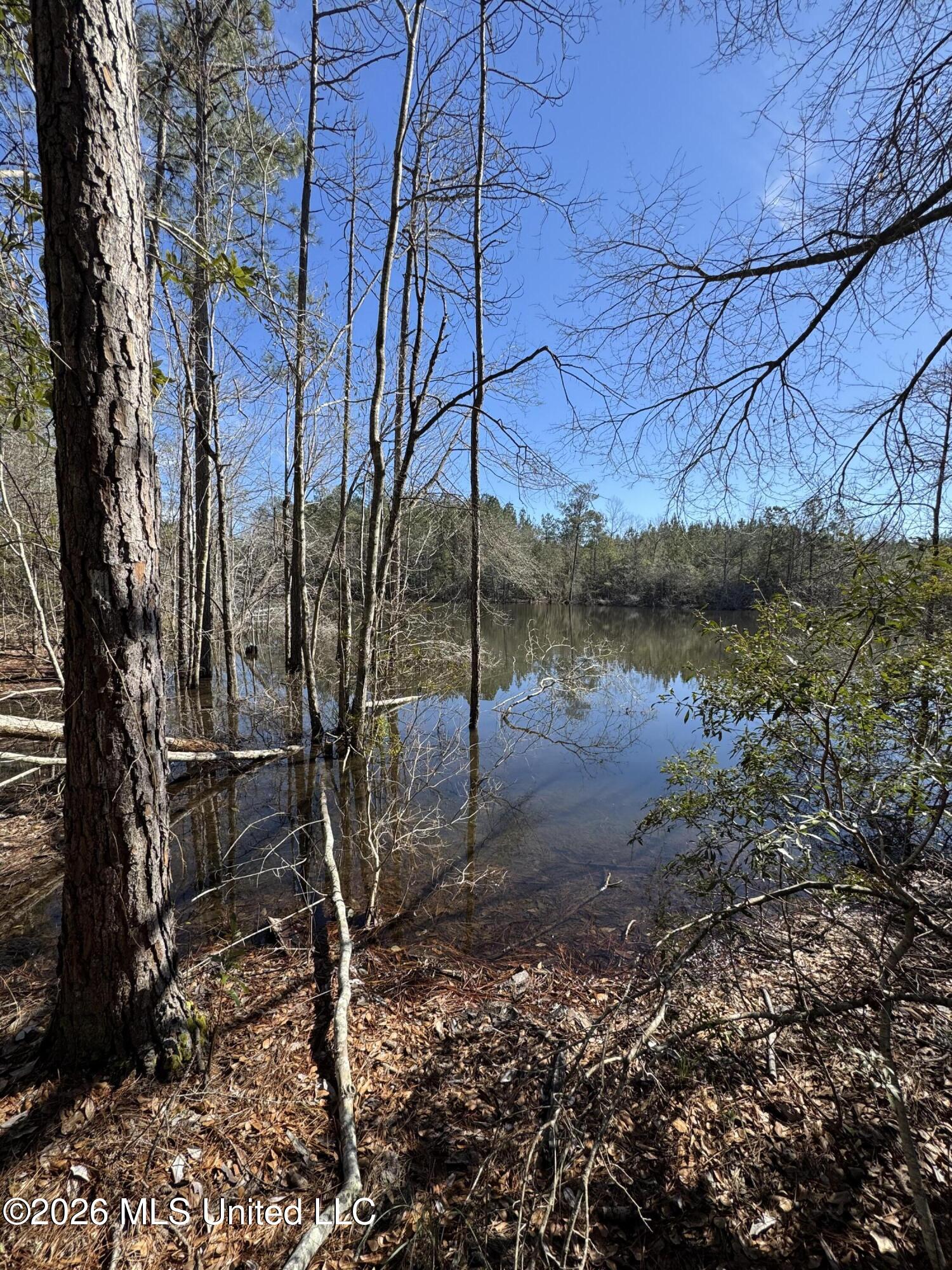 42 Mississippi State Line, MS 39362 - Photo 62 of 87 Photo Jan 27 2026, 12 04 40 PM