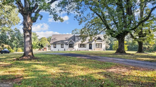 a view of a park with large trees