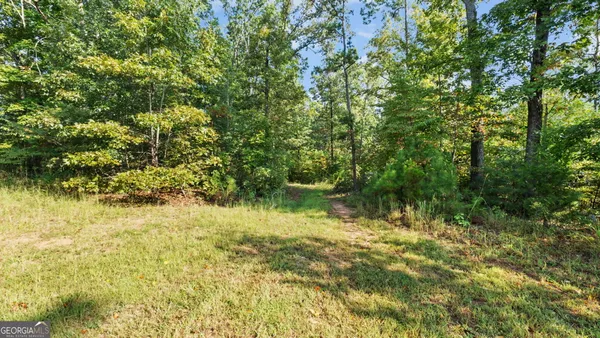 a view of a building with a yard