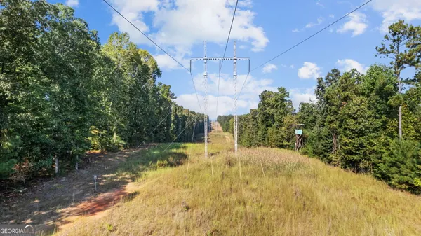 a view of big yard with swimming pool and green space