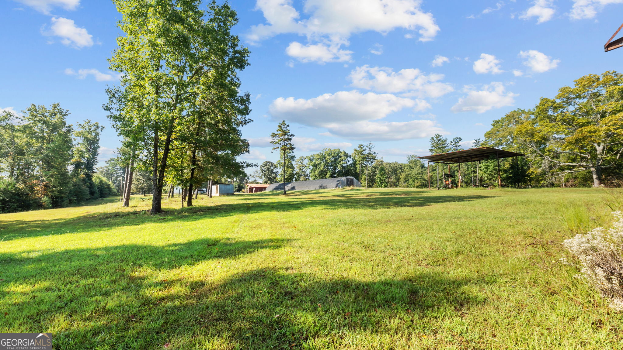 2987 Steele Road Griffin, GA 30223 - Photo 16 of 22 a view of big yard with swimming pool and green space